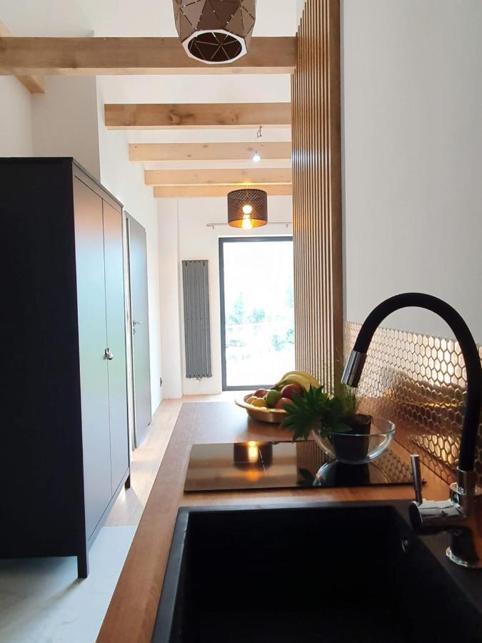 Ogrodowa 4 Apartment Ustrzyki Dolne Ngoại thất bức ảnh